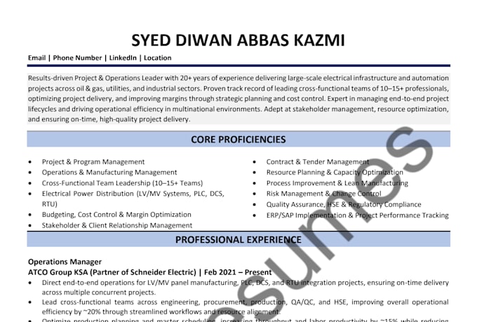 provide cyber security, data analyst resume writing services